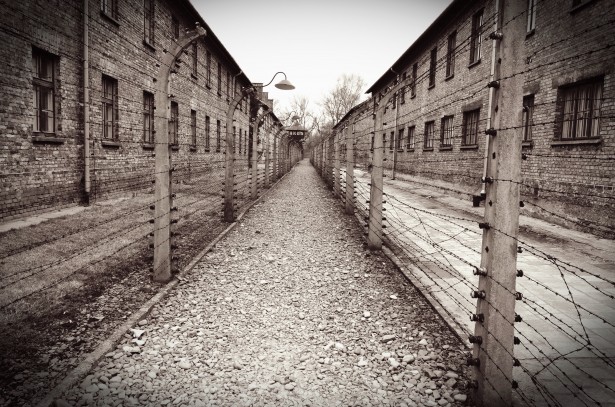 immagine olocausto